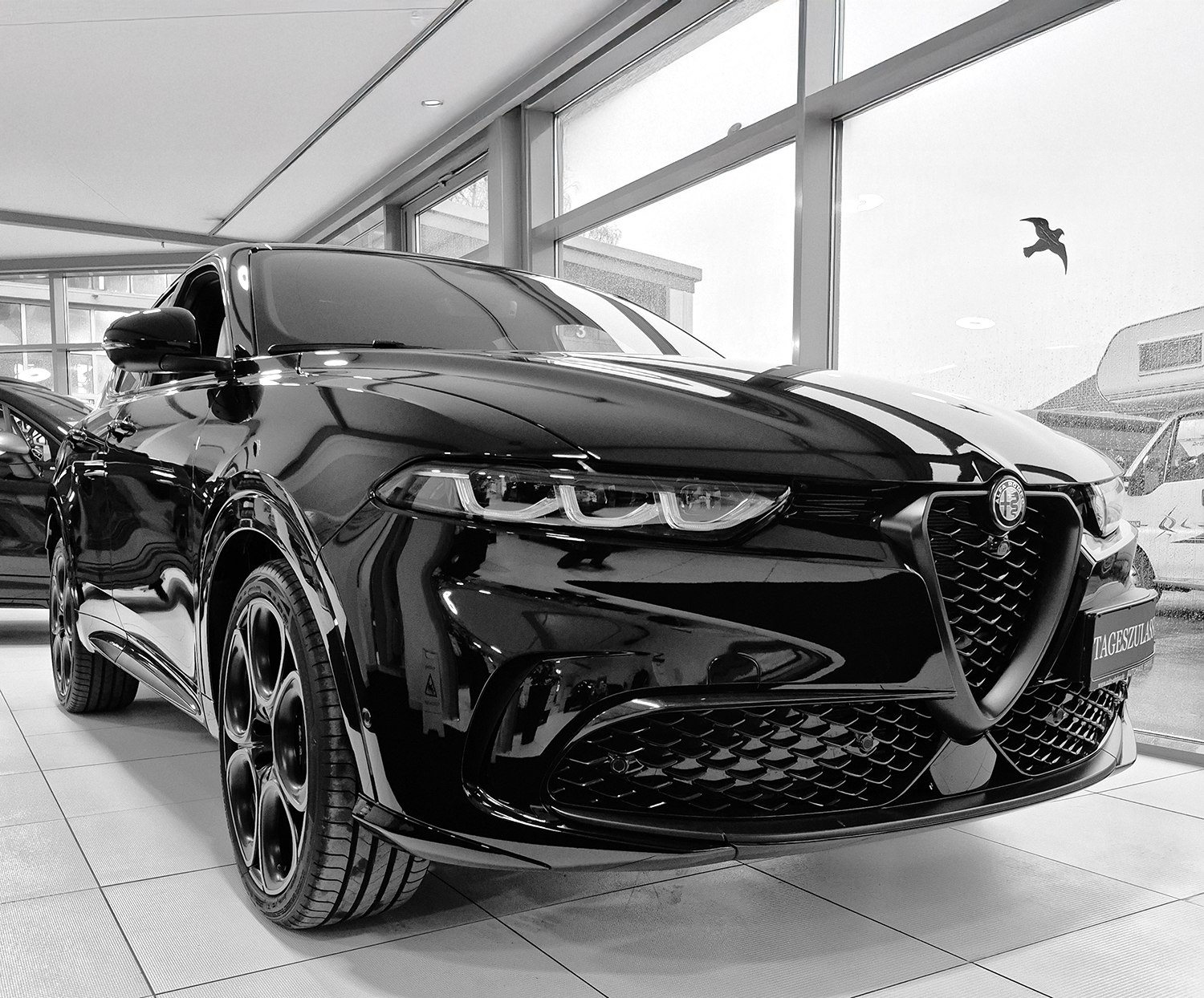 Alpha Romeo im Autohaus Ehrbar